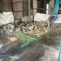 画像245